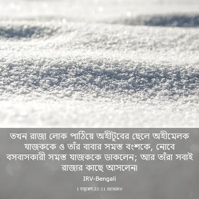 Picture 03 - 1 চমূৱেল 22:11 BENIRV - তখন রাজা লোক - Bible Verse Picture