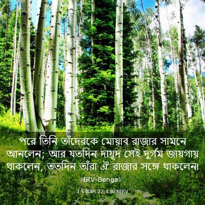 Picture 03 - 1 চমূৱেল 22:4 BENIRV - পরে তিনি তাঁদেরকে - Bible Verse Picture
