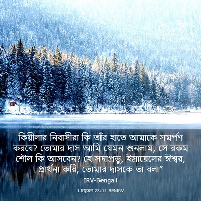 Picture 03 - 1 চমূৱেল 23:11 BENIRV - কিয়ীলার নিবাসীরা - Bible Verse Picture
