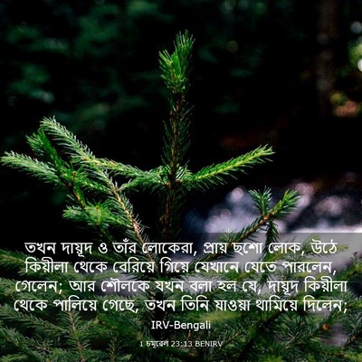 Picture 03 - 1 চমূৱেল 23:13 BENIRV - তখন দায়ূদ ও তাঁর - Bible Verse Picture