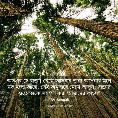 Picture 03 - 1 চমূৱেল 23:20 BENIRV - অতএব হে রাজা! নেমে - Bible Verse Picture