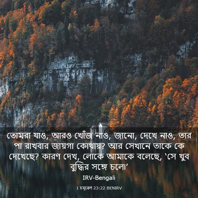Picture 03 - 1 চমূৱেল 23:22 BENIRV - তোমরা যাও, আরও খোঁজ - Bible Verse Picture