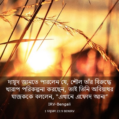 Picture 03 - 1 চমূৱেল 23:9 BENIRV - দায়ূদ জানতে - Bible Verse Picture