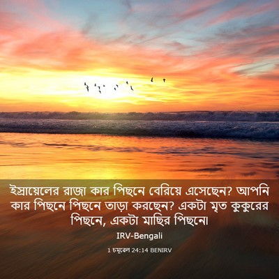 Picture 03 - 1 চমূৱেল 24:14 BENIRV - ইস্রায়েলের রাজা - Bible Verse Picture