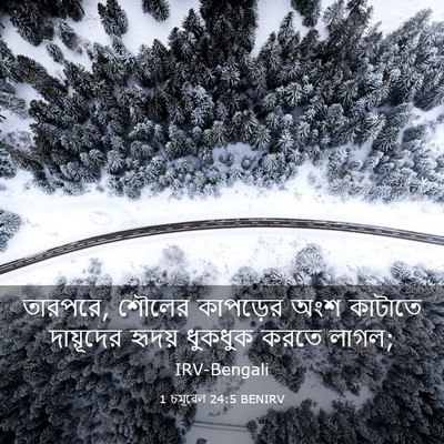 Picture 03 - 1 চমূৱেল 24:5 BENIRV - তারপরে, শৌলের - Bible Verse Picture