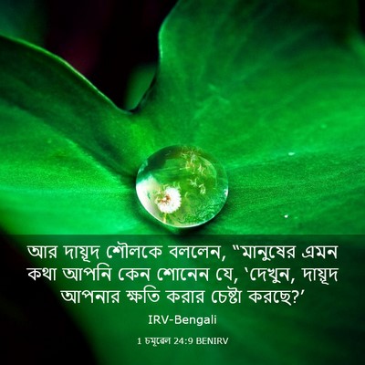 Picture 03 - 1 চমূৱেল 24:9 BENIRV - আর দায়ূদ শৌলকে - Bible Verse Picture