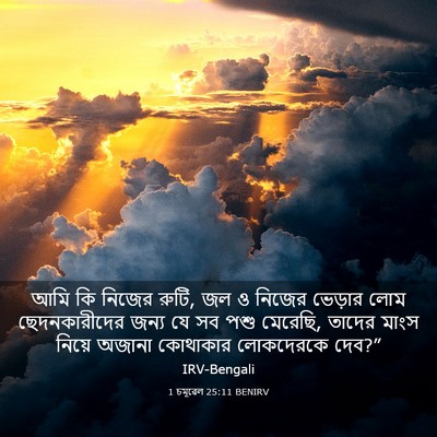 Picture 03 - 1 চমূৱেল 25:11 BENIRV - আমি কি নিজের রুটি, - Bible Verse Picture