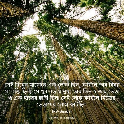 Picture 03 - 1 চমূৱেল 25:2 BENIRV - সেই দিনের মায়োনে - Bible Verse Picture