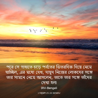 Picture 03 - 1 চমূৱেল 25:20 BENIRV - পরে সে গাধাতে চড়ে - Bible Verse Picture
