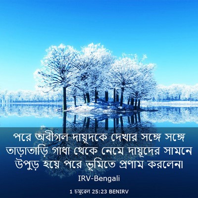 Picture 03 - 1 চমূৱেল 25:23 BENIRV - পরে অবীগল - Bible Verse Picture