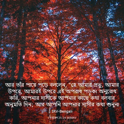Picture 03 - 1 চমূৱেল 25:24 BENIRV - আর তাঁর পায়ে পড়ে - Bible Verse Picture