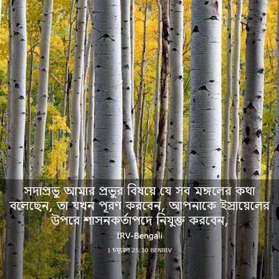 Picture 03 - 1 চমূৱেল 25:30 BENIRV - সদাপ্রভু আমার - Bible Verse Picture