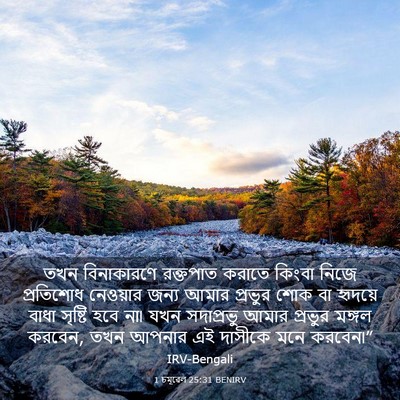 Picture 03 - 1 চমূৱেল 25:31 BENIRV - তখন বিনাকারণে - Bible Verse Picture