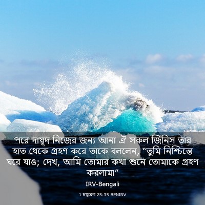 Picture 03 - 1 চমূৱেল 25:35 BENIRV - পরে দায়ূদ নিজের - Bible Verse Picture