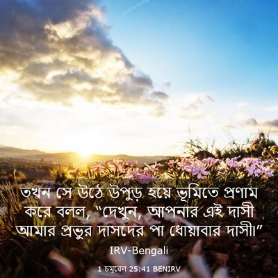 Picture 03 - 1 চমূৱেল 25:41 BENIRV - তখন সে উঠে উপুড় - Bible Verse Picture