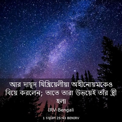 Picture 03 - 1 চমূৱেল 25:43 BENIRV - আর দায়ূদ - Bible Verse Picture