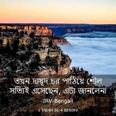Picture 03 - 1 চমূৱেল 26:4 BENIRV - তখন দায়ূদ চর - Bible Verse Picture