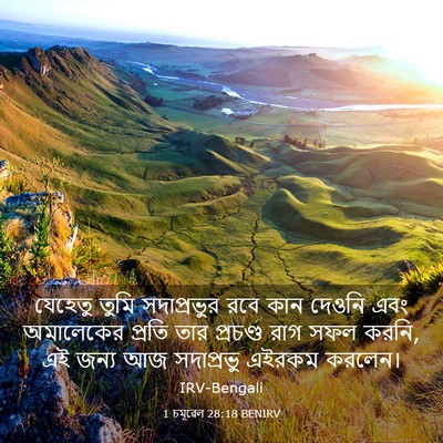 Picture 03 - 1 চমূৱেল 28:18 BENIRV - যেহেতু তুমি - Bible Verse Picture
