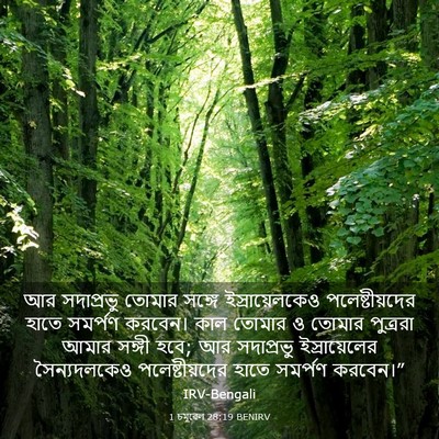 Picture 03 - 1 চমূৱেল 28:19 BENIRV - আর সদাপ্রভু তোমার - Bible Verse Picture