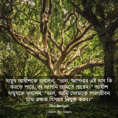Picture 03 - 1 চমূৱেল 28:2 BENIRV - দায়ূদ আখীশকে - Bible Verse Picture