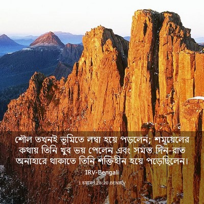 Picture 03 - 1 চমূৱেল 28:20 BENIRV - শৌল তখনই ভূমিতে - Bible Verse Picture