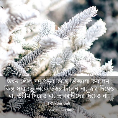 Picture 03 - 1 চমূৱেল 28:6 BENIRV - তখন শৌল সদাপ্রভুর - Bible Verse Picture