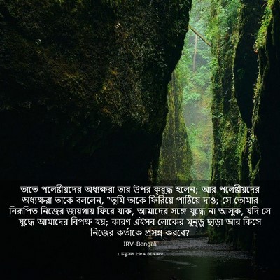 Picture 03 - 1 চমূৱেল 29:4 BENIRV - তাতে পলেষ্টীয়দের - Bible Verse Picture