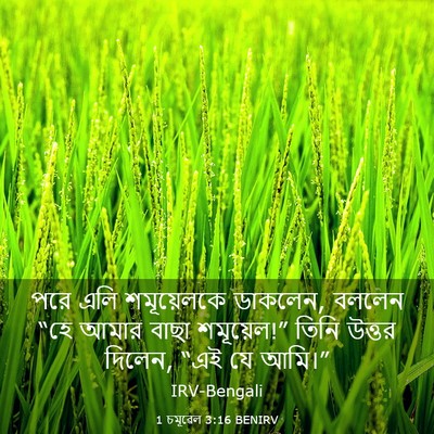 Picture 03 - 1 চমূৱেল 3:16 BENIRV - পরে এলি শমূয়েলকে - Bible Verse Picture