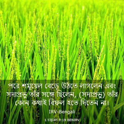 Picture 03 - 1 চমূৱেল 3:19 BENIRV - পরে শমূয়েল বেড়ে - Bible Verse Picture