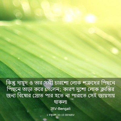 Picture 03 - 1 চমূৱেল 30:10 BENIRV - কিন্তু দায়ূদ ও - Bible Verse Picture
