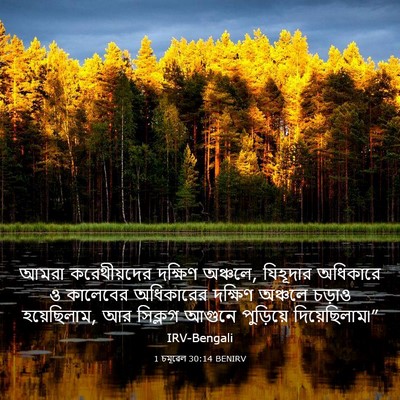 Picture 03 - 1 চমূৱেল 30:14 BENIRV - আমরা করেথীয়দের - Bible Verse Picture