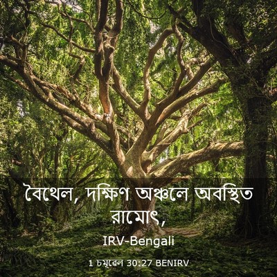 Picture 03 - 1 চমূৱেল 30:27 BENIRV - বৈথেল, দক্ষিণ - Bible Verse Picture