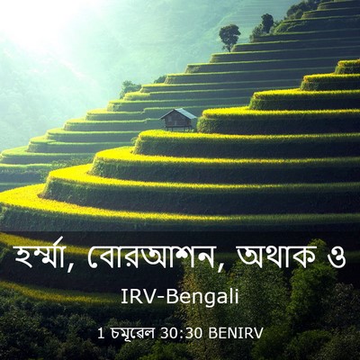 Picture 03 - 1 চমূৱেল 30:30 BENIRV - হর্ম্মা, বোরআশন, - Bible Verse Picture