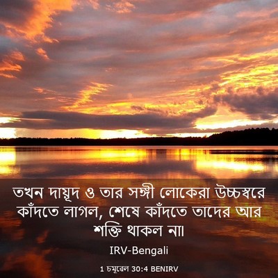 Picture 03 - 1 চমূৱেল 30:4 BENIRV - তখন দায়ূদ ও তার - Bible Verse Picture