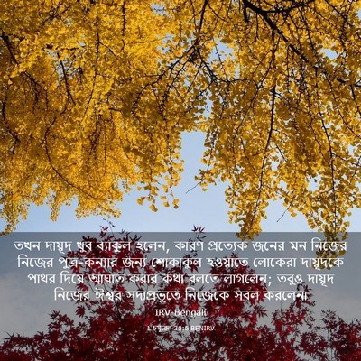 Picture 03 - 1 চমূৱেল 30:6 BENIRV - তখন দায়ূদ খুব - Bible Verse Picture