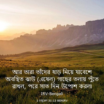 Picture 03 - 1 চমূৱেল 31:13 BENIRV - আর তারা তাঁদের - Bible Verse Picture