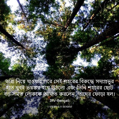 Picture 03 - 1 চমূৱেল 5:9 BENIRV - তারা নিয়ে - Bible Verse Picture