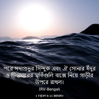 Picture 03 - 1 চমূৱেল 6:11 BENIRV - পরে সদাপ্রভুর - Bible Verse Picture