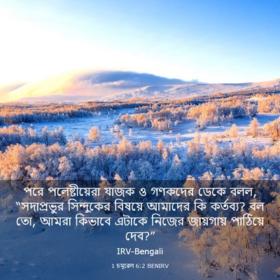 Picture 03 - 1 চমূৱেল 6:2 BENIRV - পরে পলেষ্টীয়েরা - Bible Verse Picture
