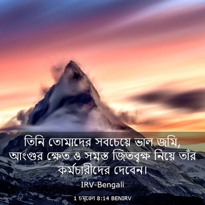 Picture 03 - 1 চমূৱেল 8:14 BENIRV - তিনি তোমাদের - Bible Verse Picture