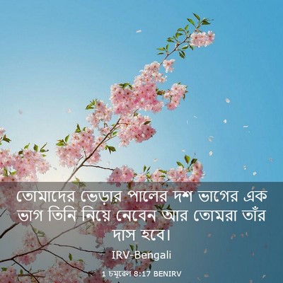 Picture 03 - 1 চমূৱেল 8:17 BENIRV - তোমাদের ভেড়ার - Bible Verse Picture
