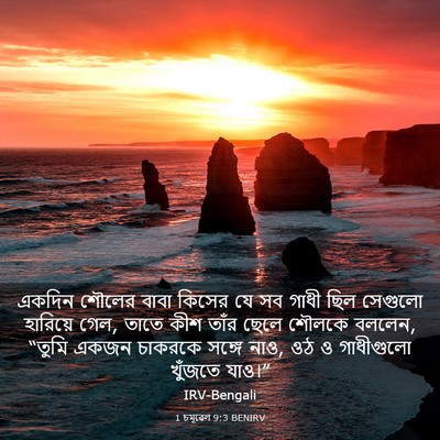 Picture 03 - 1 চমূৱেল 9:3 BENIRV - একদিন শৌলের বাবা - Bible Verse Picture