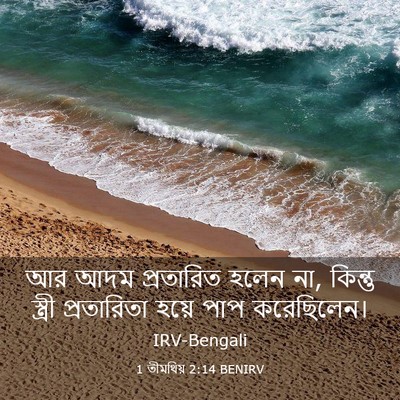 Picture 03 - 1 তীমথিয় 2:14 BENIRV - আর আদম প্রতারিত - Bible Verse Picture