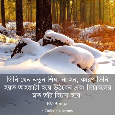 Picture 03 - 1 তীমথিয় 3:6 BENIRV - তিনি যেন নতুন - Bible Verse Picture