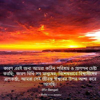 Picture 03 - 1 তীমথিয় 4:10 BENIRV - কারণ এরই জন্য আমরা - Bible Verse Picture
