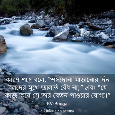 Picture 03 - 1 তীমথিয় 5:18 BENIRV - কারণ শাস্ত্র বলে, - Bible Verse Picture