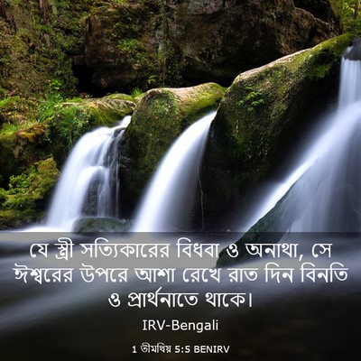 Picture 03 - 1 তীমথিয় 5:5 BENIRV - যে স্ত্রী - Bible Verse Picture