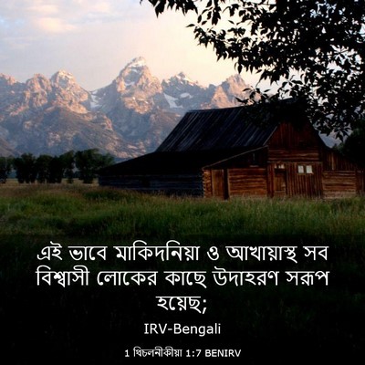 Picture 03 - 1 থিচলনীকীয়া 1:7 BENIRV - এই ভাবে - Bible Verse Picture