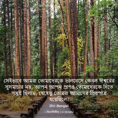 Picture 03 - 1 থিচলনীকীয়া 2:8 BENIRV - সেইভাবে আমরা - Bible Verse Picture