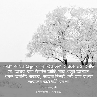 Picture 03 - 1 থিচলনীকীয়া 4:15 BENIRV - কারণ আমরা প্রভুর - Bible Verse Picture
